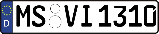MS-VI1310