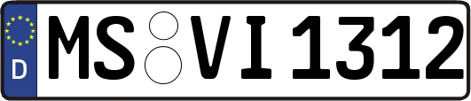 MS-VI1312