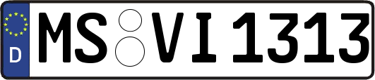 MS-VI1313
