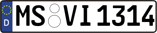 MS-VI1314