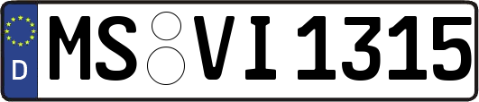 MS-VI1315