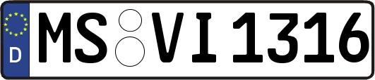 MS-VI1316