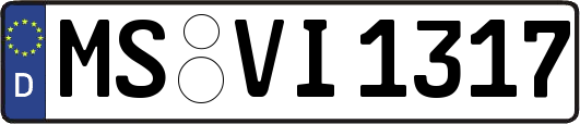 MS-VI1317