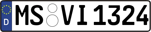 MS-VI1324