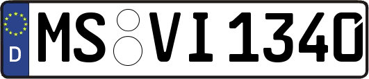 MS-VI1340