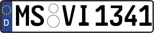 MS-VI1341