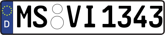 MS-VI1343