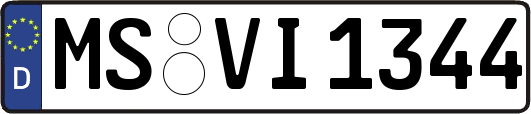 MS-VI1344