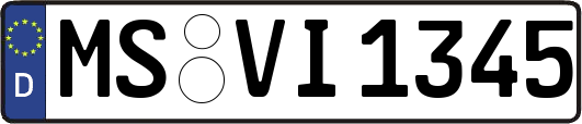 MS-VI1345