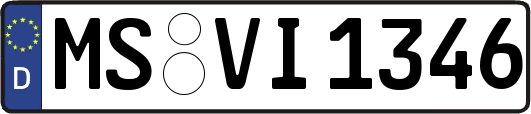 MS-VI1346