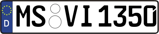MS-VI1350