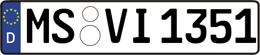 MS-VI1351