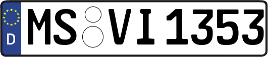 MS-VI1353