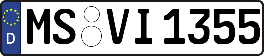 MS-VI1355