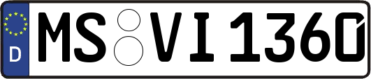 MS-VI1360