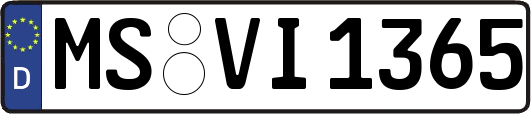 MS-VI1365