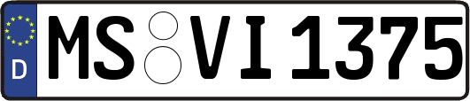 MS-VI1375