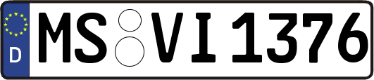 MS-VI1376