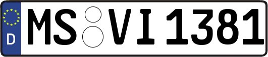 MS-VI1381