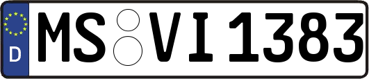 MS-VI1383