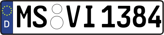 MS-VI1384