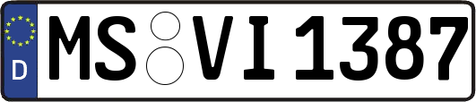 MS-VI1387