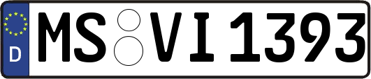 MS-VI1393
