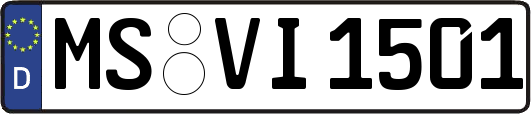 MS-VI1501