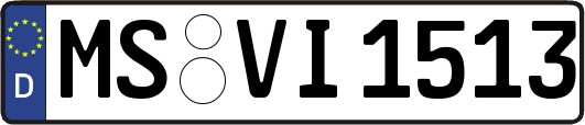 MS-VI1513