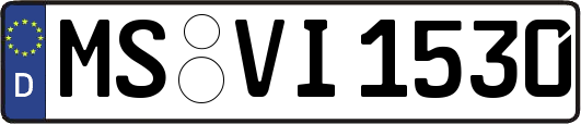 MS-VI1530