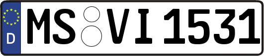MS-VI1531