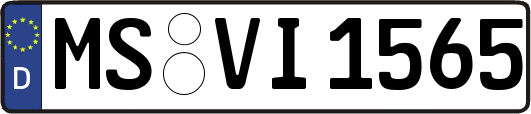 MS-VI1565
