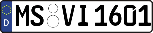 MS-VI1601