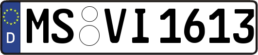 MS-VI1613