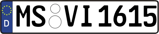 MS-VI1615