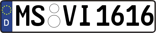 MS-VI1616