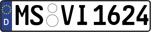 MS-VI1624