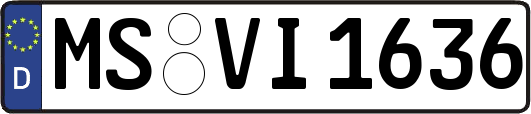 MS-VI1636