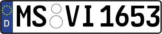MS-VI1653