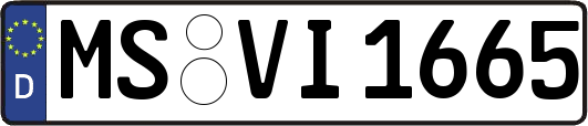 MS-VI1665