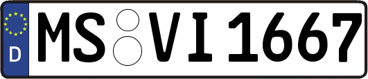 MS-VI1667