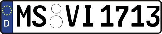 MS-VI1713