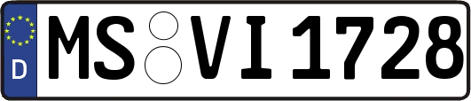 MS-VI1728