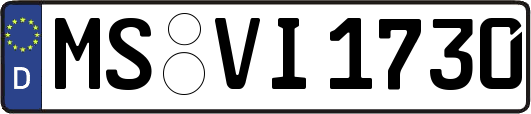 MS-VI1730