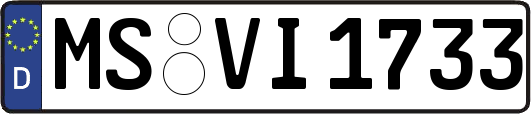 MS-VI1733