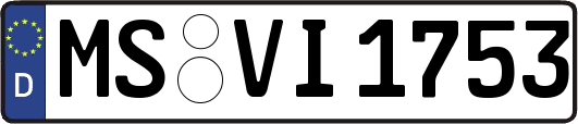 MS-VI1753