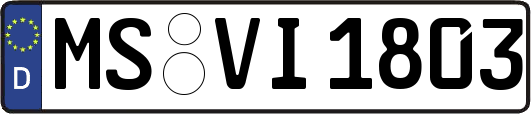 MS-VI1803