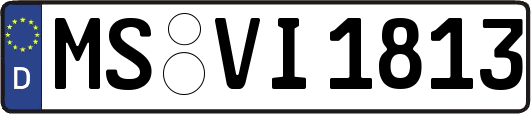 MS-VI1813