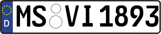 MS-VI1893