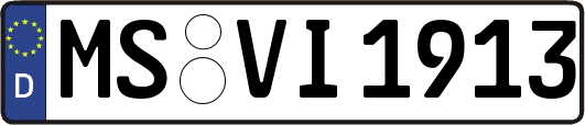 MS-VI1913